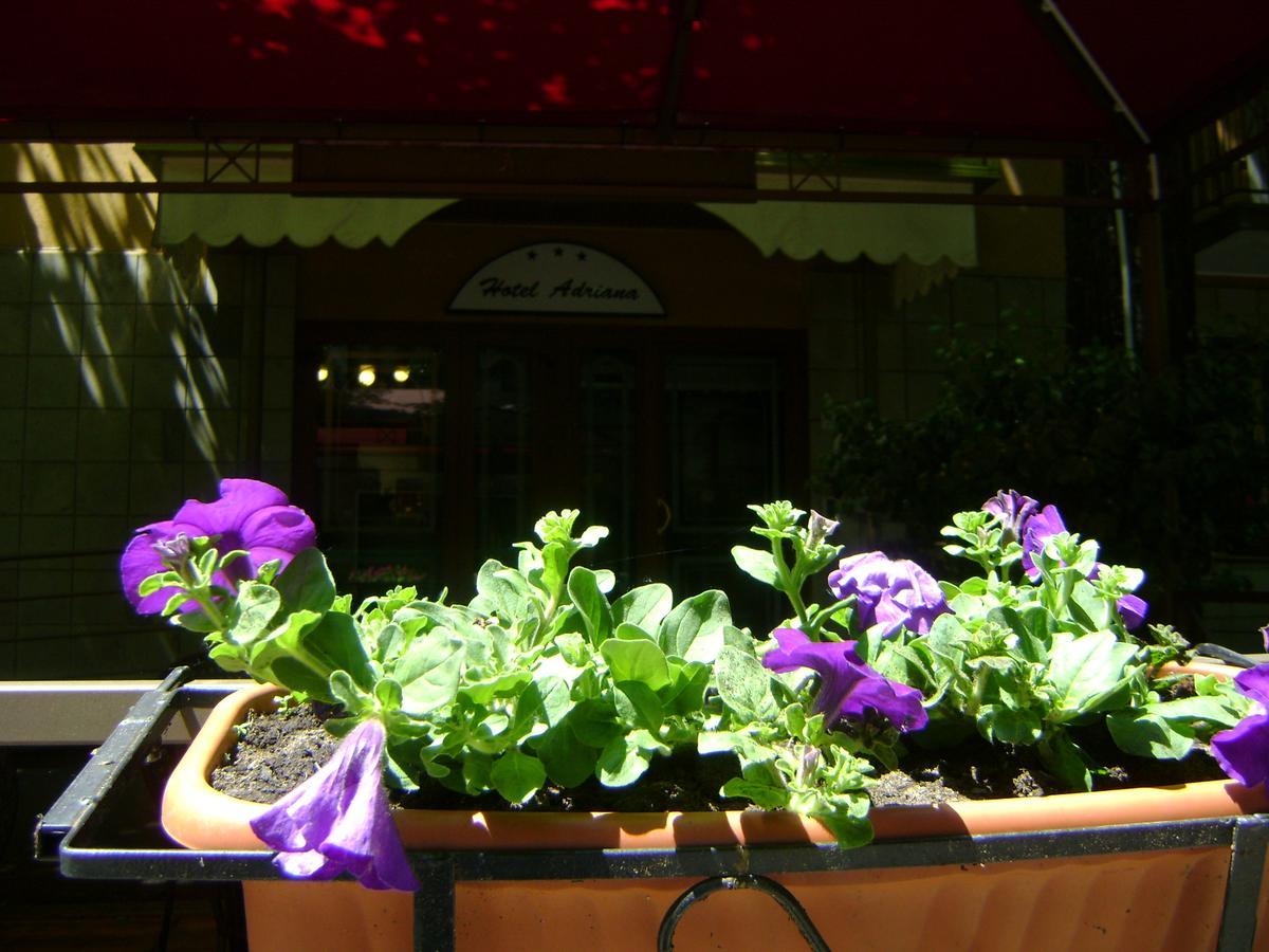Hotel Adriana อับบาเดียซานซัลวาตอเร ภายนอก รูปภาพ